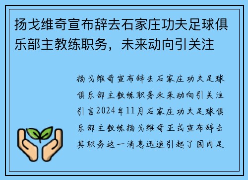 扬戈维奇宣布辞去石家庄功夫足球俱乐部主教练职务，未来动向引关注